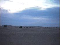 The Imperial Sand Dunes